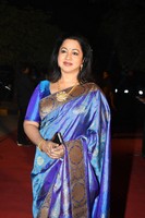 Celebs at Gemini TV Awards Photos